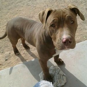 Meet your Posher, Dena